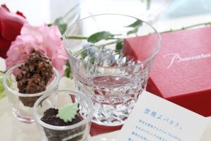 Image which motorhome.co.uk 1091 1746058795927